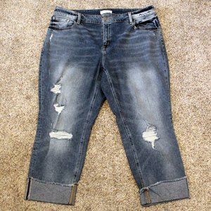 Lane Bryant High Rise Straight Distressed Jeans